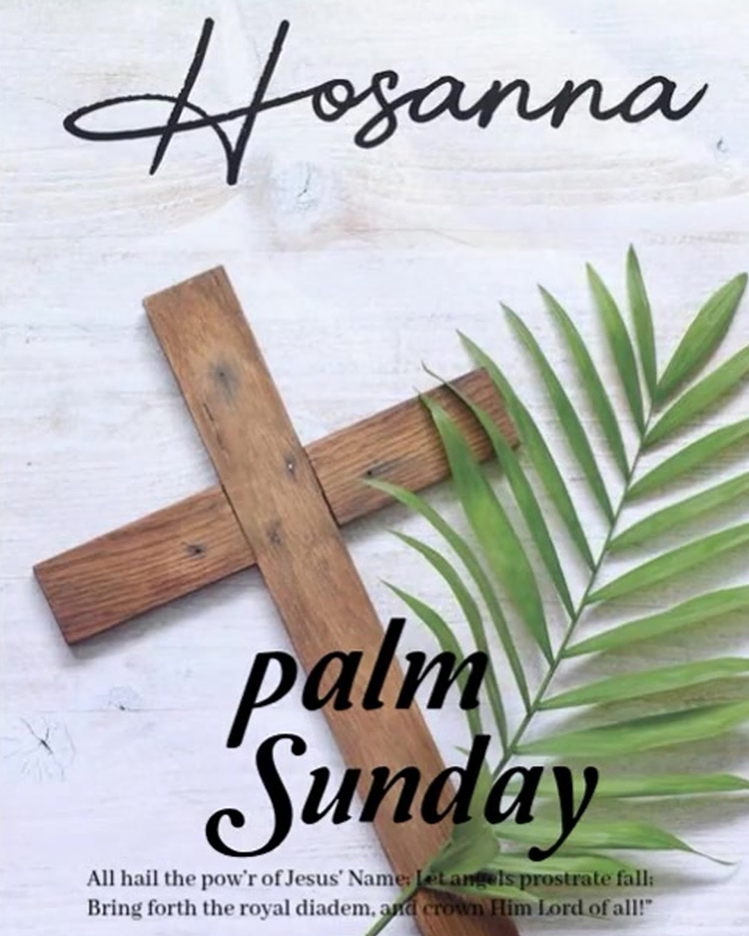 Palm Sunday                                                                                                                                                                                                                                                                                                 